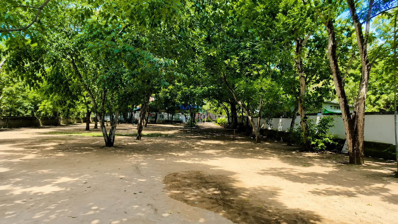 Green outdoor playground on the school campus